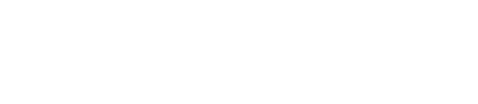 Pat Schmidt Photography Logo